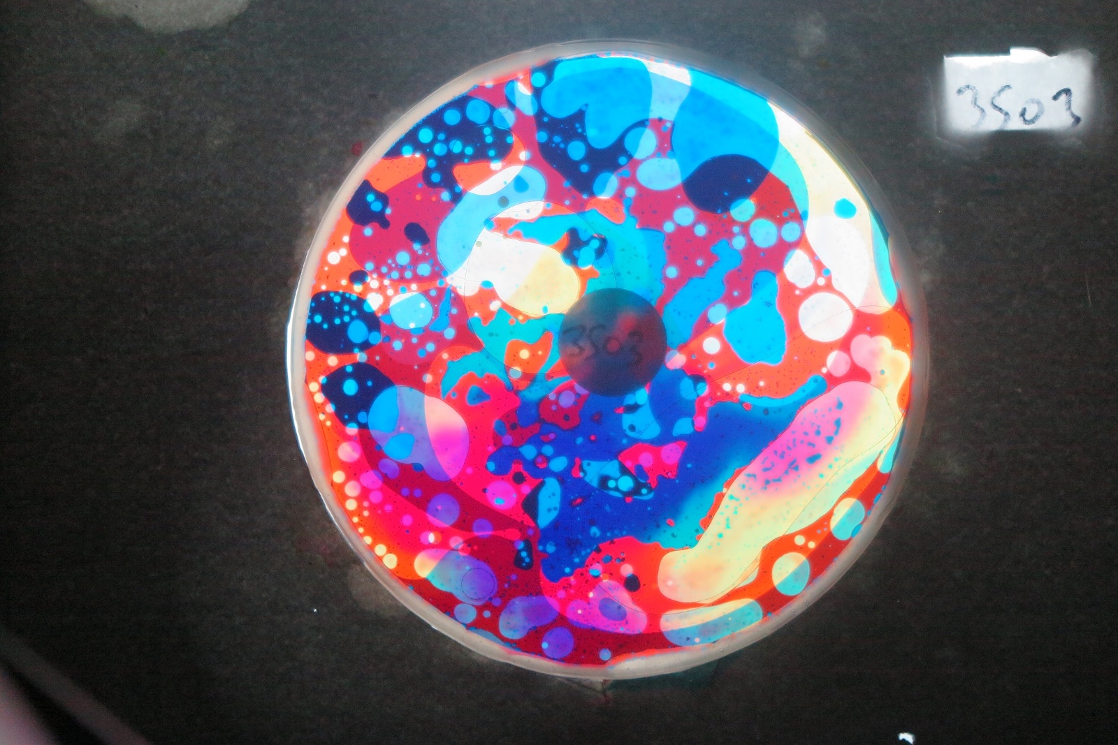 BV3503 bubble vision oil wheel